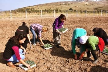 Kadın Çiftçiler Üretiyor Projesi Galeri