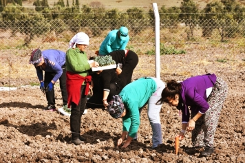 Kadın Çiftçiler Üretiyor Projesi Galeri