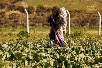 Kadın Çiftçiler Üretiyor Projesi Galeri