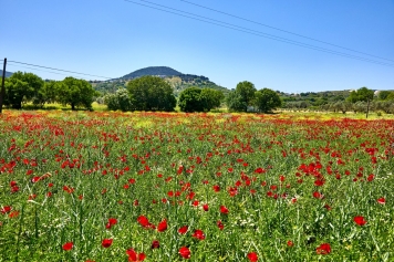 Güzelhisar Galeri