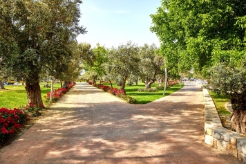 Sanat Sokağı Galeri