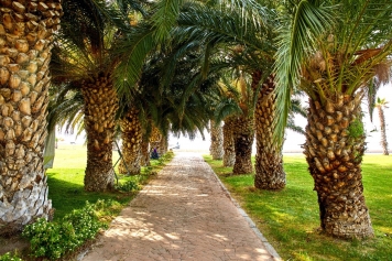 Sevgi Parkı Sahil Yolu Galeri