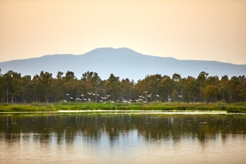 Kuş Cenneti Galeri