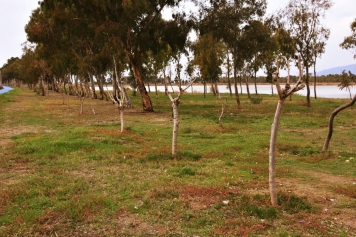 Kuş Cenneti Galeri