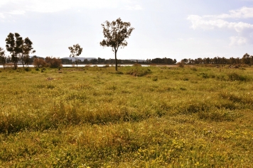 Kuş Cenneti Galeri