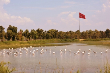 Kuş Cenneti Galeri