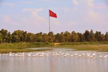 Kuş Cenneti Galeri