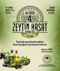 Aliağa, 4. Zeytin Hasat Şenliği’nde Buluşuyor Galeri