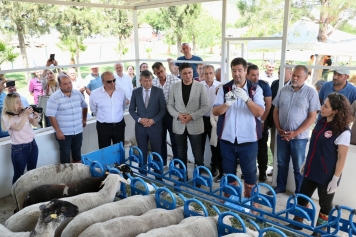 Aliağa’da Yavru Ölümlerine Karşı Aşı Kampanyası Başladı Galeri