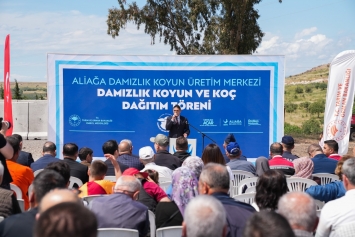 Aliağa’da Küçükbaş Hayvancılığa Güçlü Destek: 3’üncü Etap Damızlık Dağıtımları Gerçekleştirildi Galeri