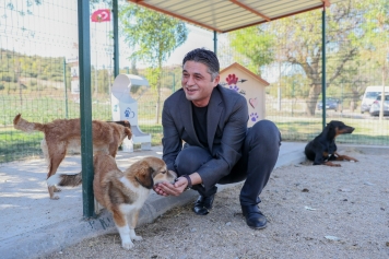 Aliağalı Minikler Pati Park’ta Sevimli Dostlar İle Bir Araya Geldi Galeri