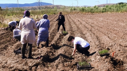 Aliağa Belediyesi’nden Tarımsal Kalkınmaya Destek Galeri