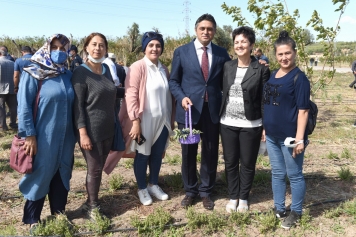 Aliağa’da ‘Tarla Günü’ Etkinliği Düzenlendi Galeri