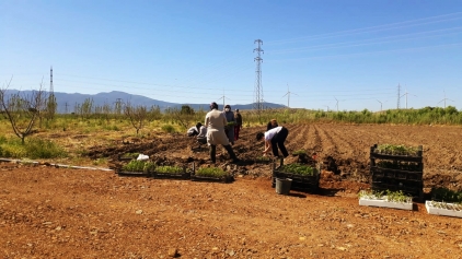 Aliağa Belediyesi’nden Tarımsal Kalkınmaya Destek Galeri