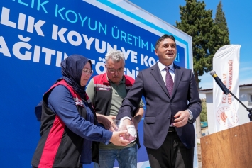 Aliağa’da Küçükbaş Hayvancılığa Güçlü Destek: 3’üncü Etap Damızlık Dağıtımları Gerçekleştirildi Galeri