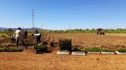 Aliağa Belediyesi’nden Tarımsal Kalkınmaya Destek Galeri