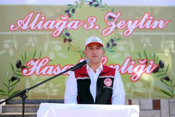 Aliağa’da 3. Zeytin Hasat Şenliği Düzenlendi Galeri