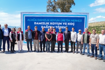Aliağa’da Küçükbaş Hayvancılığa Güçlü Destek: 3’üncü Etap Damızlık Dağıtımları Gerçekleştirildi Galeri