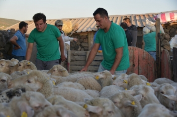 Aliağa Belediyesi'nden Manavgat'taki Köylülere Destek Galeri