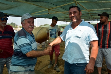 Büyükbaş ve Küçükbaş Kurbanlıklar Alıcılarını Bekliyor Galeri