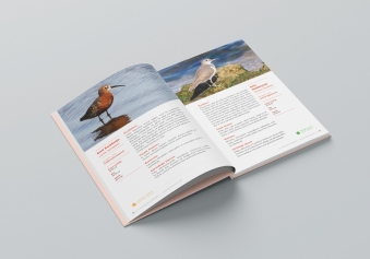 Aliağa Kuş Cenneti ve Güzelhisar Deltası Kitaplaştı Galeri
