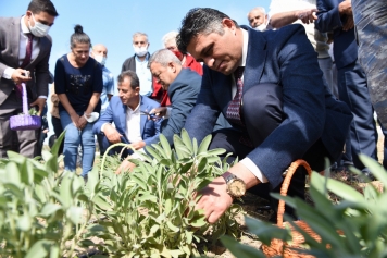 Aliağa’da ‘Tarla Günü’ Etkinliği Düzenlendi Galeri