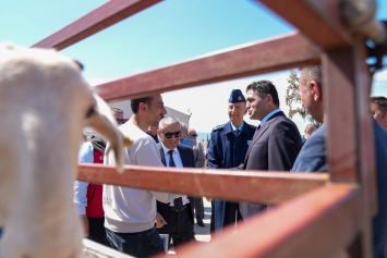 Aliağa’da Küçükbaş Hayvancılığa Güçlü Destek: 3’üncü Etap Damızlık Dağıtımları Gerçekleştirildi Galeri