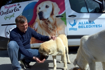 Aliağa Belediyesi Sevimli Dostlar İçin Görev Başında Galeri