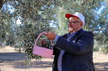 Aliağa’da 3. Zeytin Hasat Şenliği Düzenlendi Galeri
