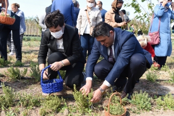 Aliağa’da ‘Tarla Günü’ Etkinliği Düzenlendi Galeri