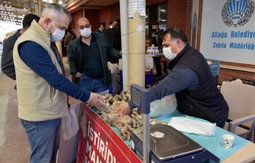 İstiridye Mantarlarının İlk Mahsulleri Satışa Sunuldu Galeri