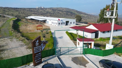 Aliağa Damızlık Koyun Üretim Merkezi Kırsal Kalkınmaya Güç Katıyor Galeri