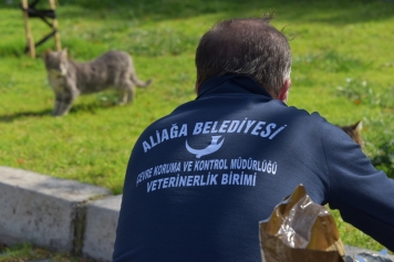 Aliağa Belediyesi Sevimli Dostlar İçin Görev Başında Galeri