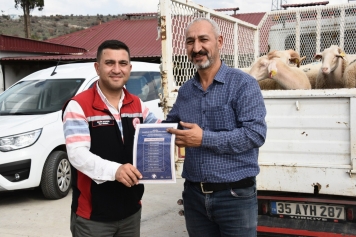 Aliağa’da Üreticiye Destek Sürüyor: Hibeli Koyun ve Koçlar Üreticilere Teslim Edildi Galeri