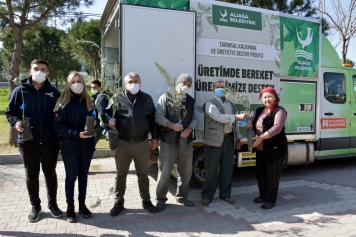 Aliağa’da Zeytin Şöleni Sürüyor Galeri