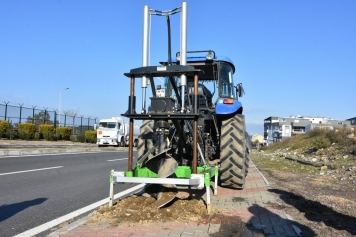 Aliağa’yı Pavlonya Ağaçları Süsleyecek Galeri