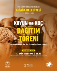 Damızlık Koyun Dağıtımında İkinci Etap Başlıyor Galeri