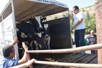 Aliağa Belediyesi'nden Manavgat'taki Köylülere Destek Galeri