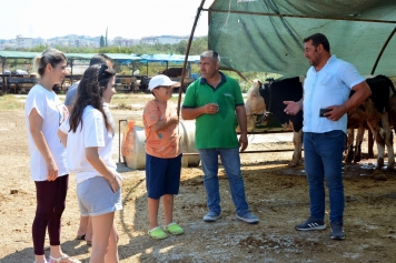 Büyükbaş ve Küçükbaş Kurbanlıklar Alıcılarını Bekliyor Galeri