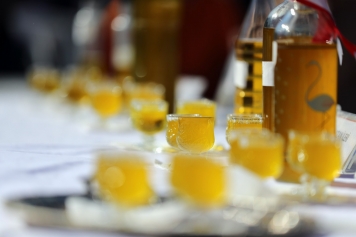 Aliağa’da 3. Zeytin Hasat Şenliği Düzenlendi Galeri