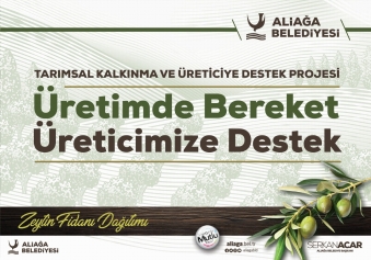 Aliağa’da Zeytin Şöleni Sürüyor Galeri