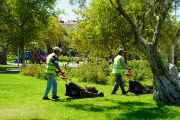 Aliağa’nın Yeşil Dokusu Güçleniyor Galeri