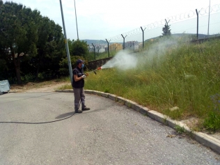 Aliağa Belediyesi Sivrisinekle Mücadelesini Sürdürüyor Galeri