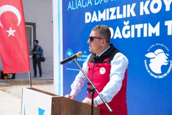 Aliağa’da Küçükbaş Hayvancılığa Güçlü Destek: 3’üncü Etap Damızlık Dağıtımları Gerçekleştirildi Galeri