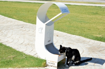 Aliağa’da Sevimli Dostlar İçin Yoğun Mesai  Galeri