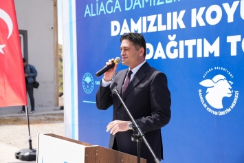 Aliağa’da Küçükbaş Hayvancılığa Güçlü Destek: 3’üncü Etap Damızlık Dağıtımları Gerçekleştirildi Galeri