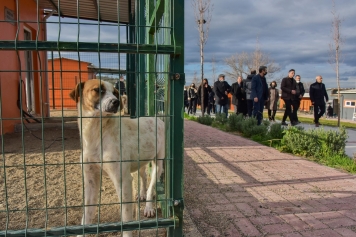 Başkan Serkan Acar ve Aliağalı Muhtarlardan Proje Turu Galeri