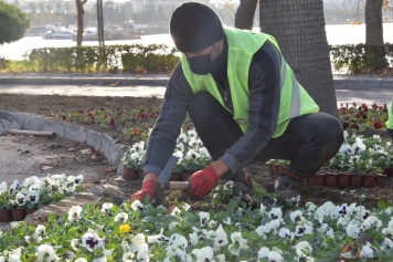 Aliağa 2020 Yılında Yüz Bin Metrekare Yeşil Alan Kazandı Galeri