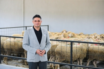 Aliağa Damızlık Koyun Üretim Merkezi Kırsal Kalkınmaya Güç Katıyor Galeri