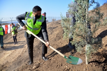 Aliağa’da Fidanlar Toprakla Buluştu Galeri